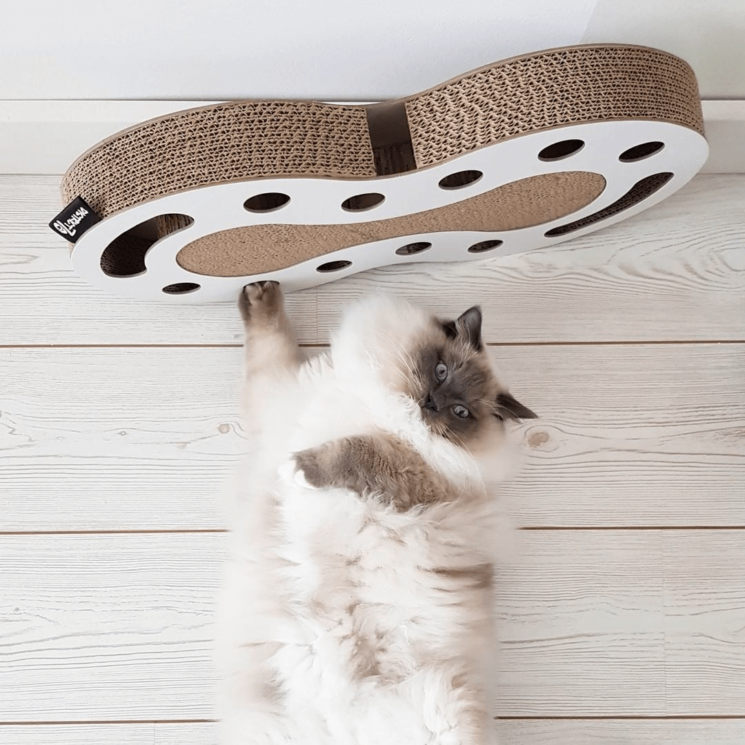 productos pampermut destacados para gatos